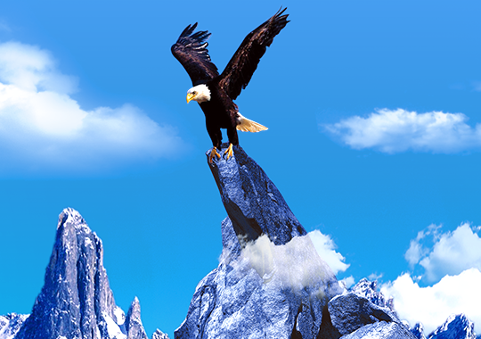 方原實業(yè)集團有限公司